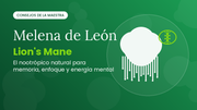 Melena de León (Lion's Mane) - nootrópico natural | Cesta Maestra