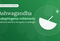 Ashwagandha: el adaptógeno para el estrés, la energía y el descanso - Cesta Maestra