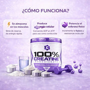 Creatina Monohidratada 100% Pura USP (200g) | Fuerza y Recuperación - Cesta Maestra - UNMERCO